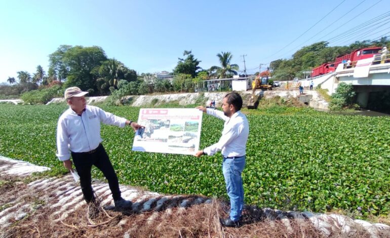 Gobierno de Guerrero desazolva lirio acuático en el arroyo Colacho en Acapulco para prevenir inundaciones