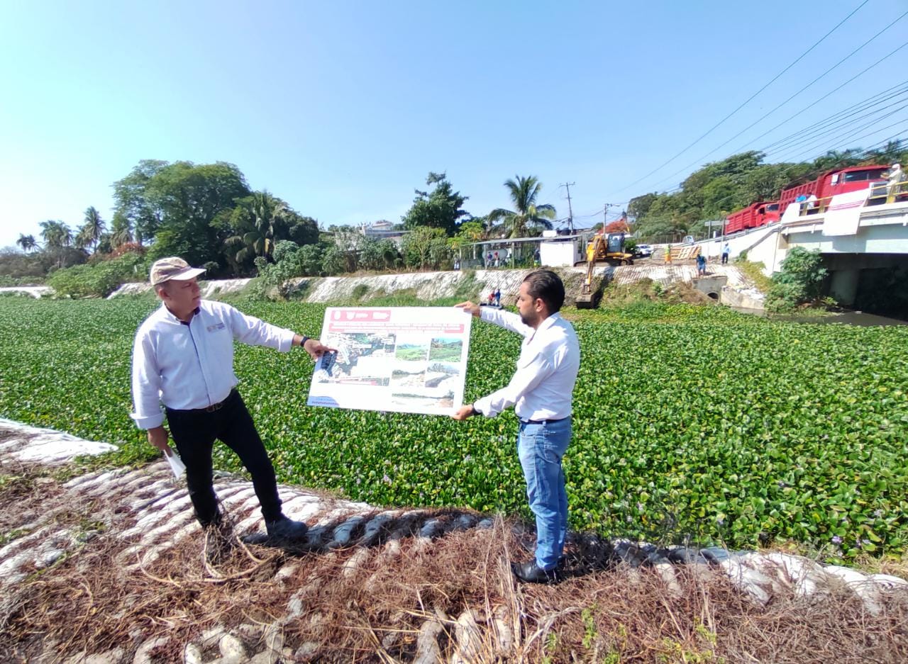 Gobierno de Guerrero desazolva lirio acuático en el arroyo Colacho en Acapulco para prevenir inundaciones