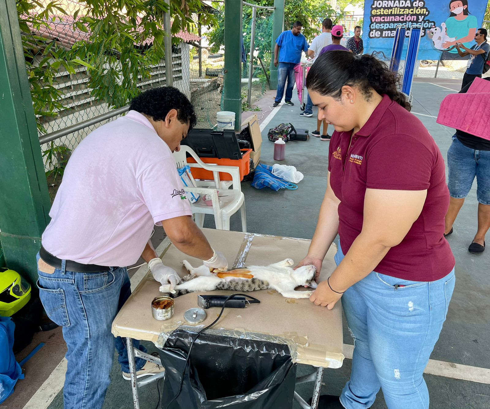 Busca gobierno de Abelina López Rodríguez evitar sobrepoblación de perros y gatos