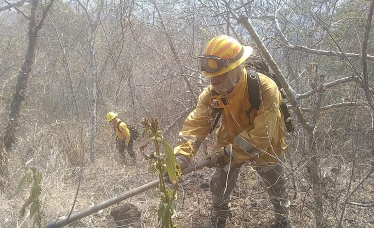 Refuerza Guerrero acciones para atender incendios forestales
