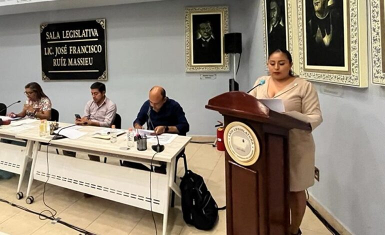 Plantean ampliar del 10 al 15% las áreas verdes de los fraccionamientos