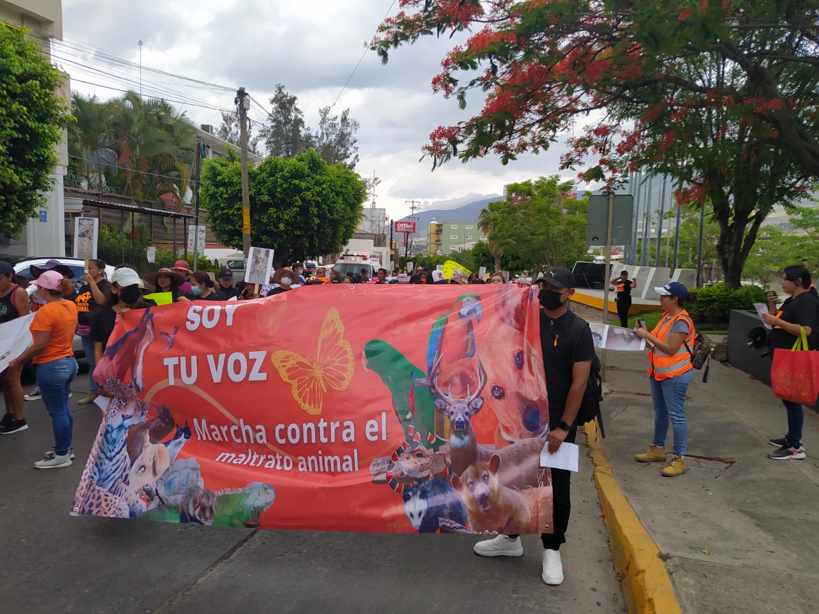 Defensores de animales piden a las autoridades castigo a las y los maltratadores