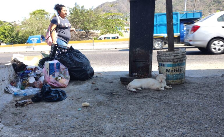 “Una persona que no sabe respetar un animal pues por su puesto que no va a respetar al prójimo“, señalan animalistas