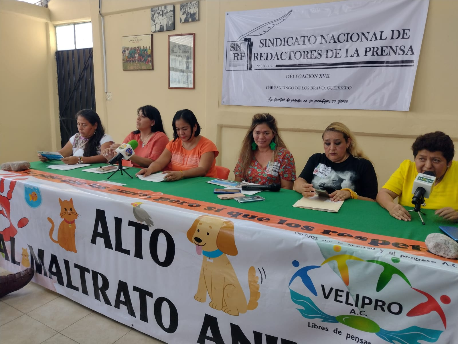 Asociaciones protectoras de animales exigen a Evelyn Salgado aplicar la