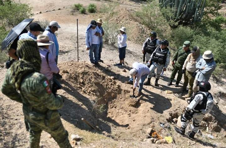 Localizan restos óseos en jornada de búsqueda en zona donde operaba grupo delictivo de Tlapa de Comonfort
