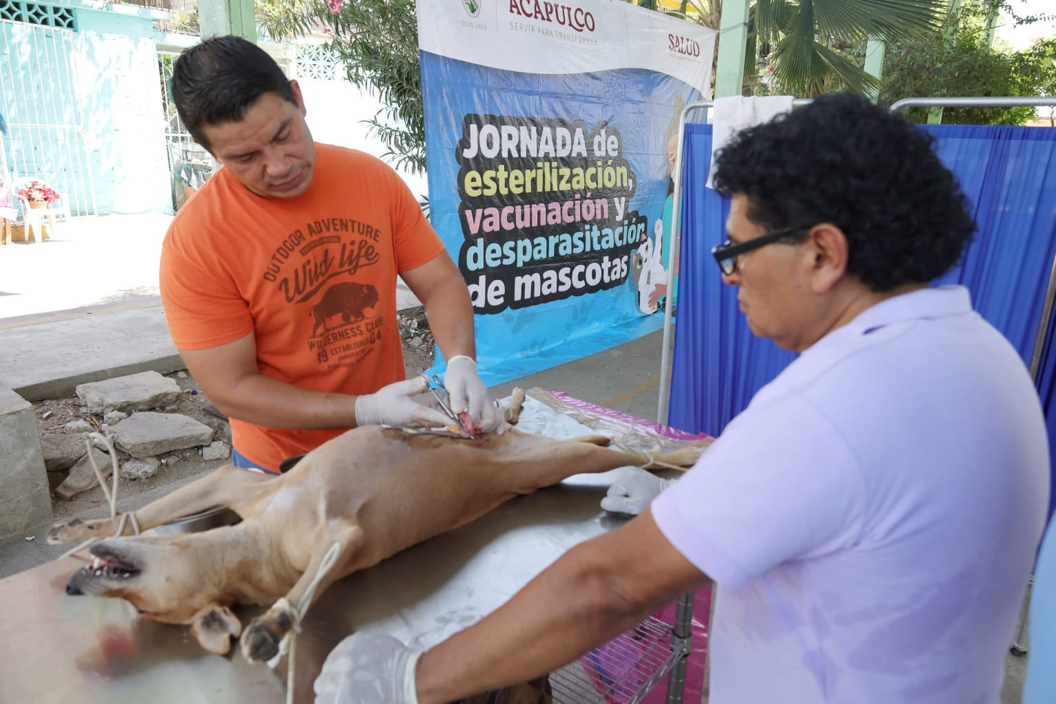 Lleva Abelina López Rodríguez campaña de esterilización a Renacimiento