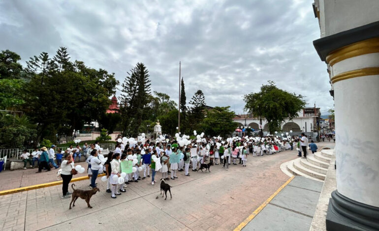 Marchan en Tlapa para exigir justiciar por Gaspar, niño que murió por una bala pérdida