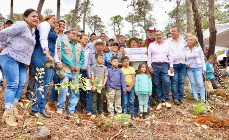 Encabeza Evelyn Salgado actividad de reforestación en Llanos de Tepoxtepec