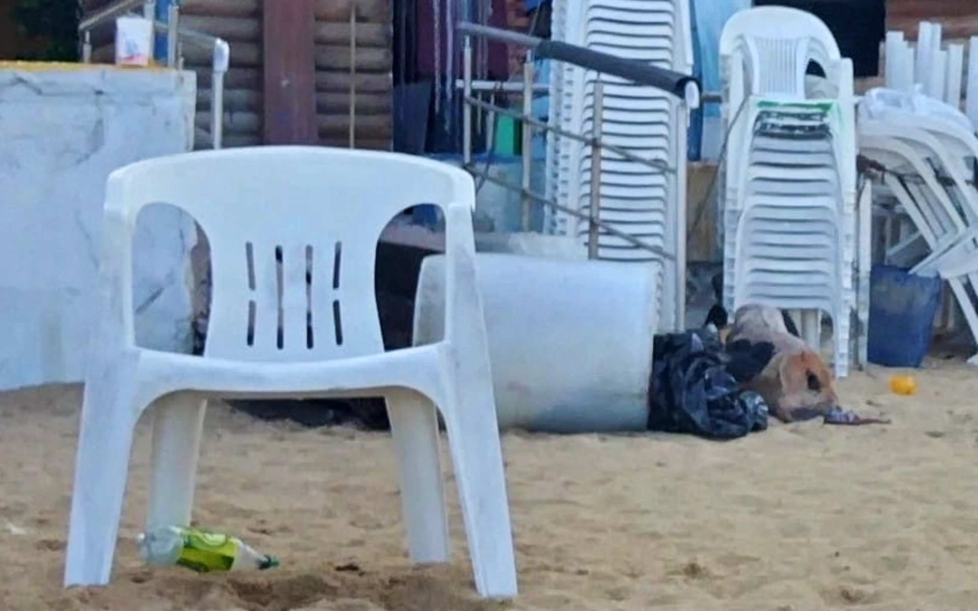 Dejan restos humanos dentro de bolsas negras de plástico en playa de Acapulco