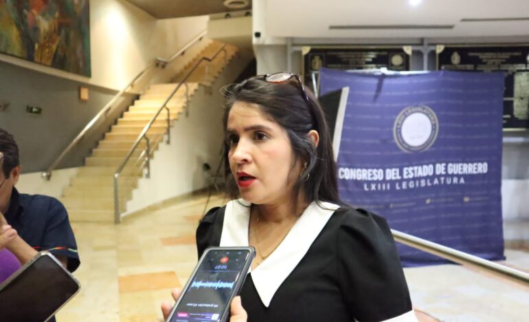 Yoloczin Domínguez: las planillas rechazadas, son de municipios donde hubo protestas