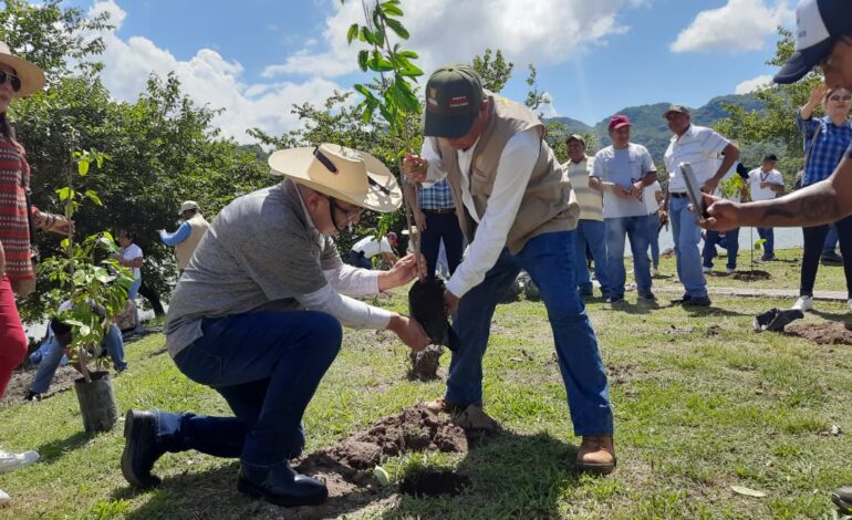Realiza la Semaren Guerrero jornada de reforestación en el ejido Rincón de la Vía