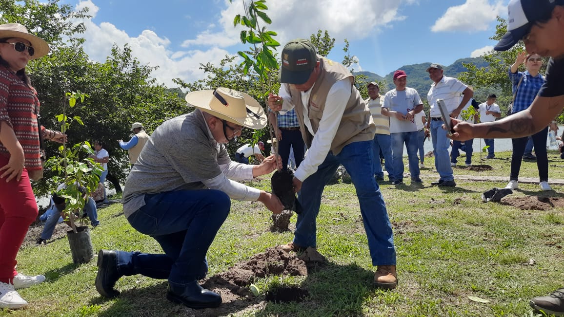 Realiza la Semaren Guerrero jornada de reforestación en el ejido Rincón de la Vía