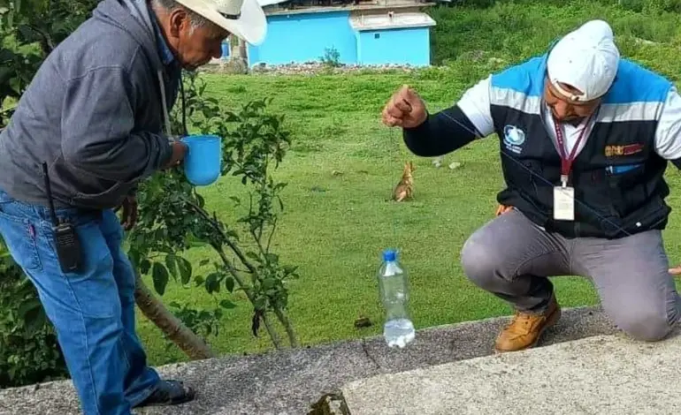 Realiza CAPASEG cloración de sistemas de agua en el municipio de Metlatonoc