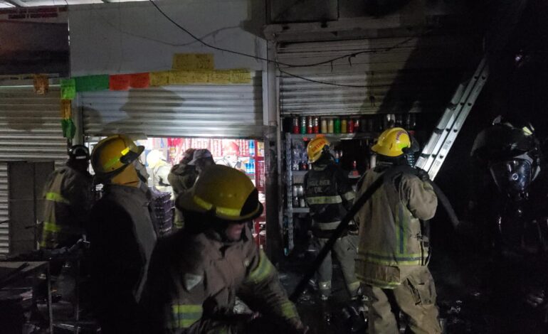 Fuego arrasa con locales comerciales del mercado Baltazar R. Leyva Mancilla, Chilpancingo