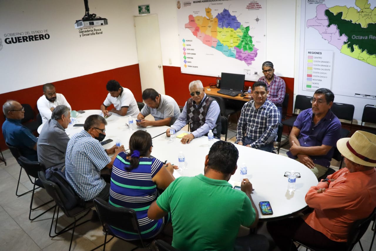 En proceso de revisión el padrón de beneficiarios de los programas de apoyo al campo