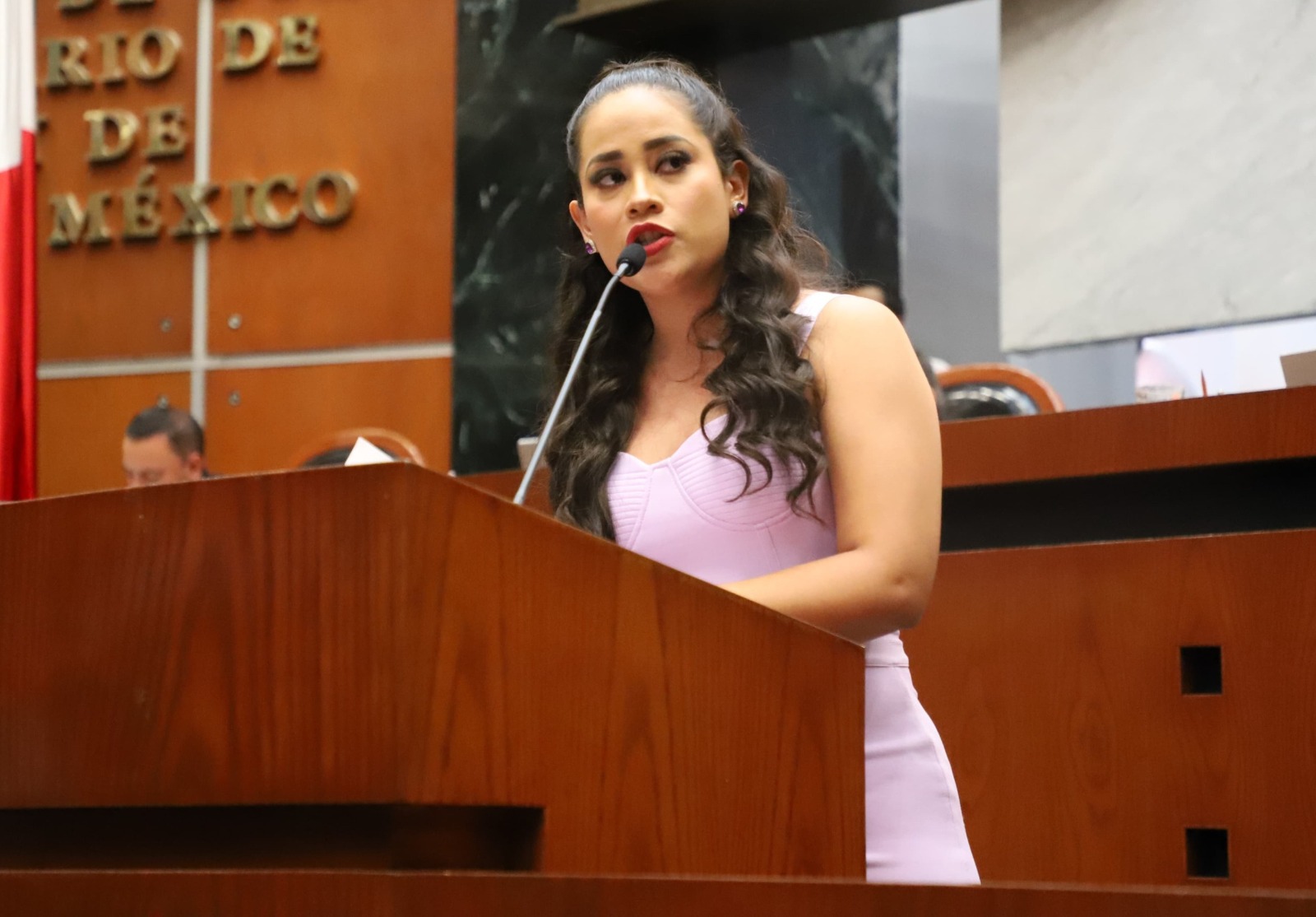 Aprueban la realización del Parlamento de las Personas con Discapacidad del estado de Guerrero
