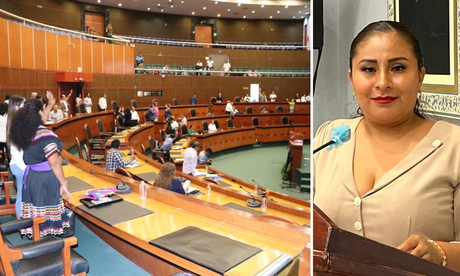 Aprueba el Congreso la realización del Parlamento de las Personas Adultas Mayores