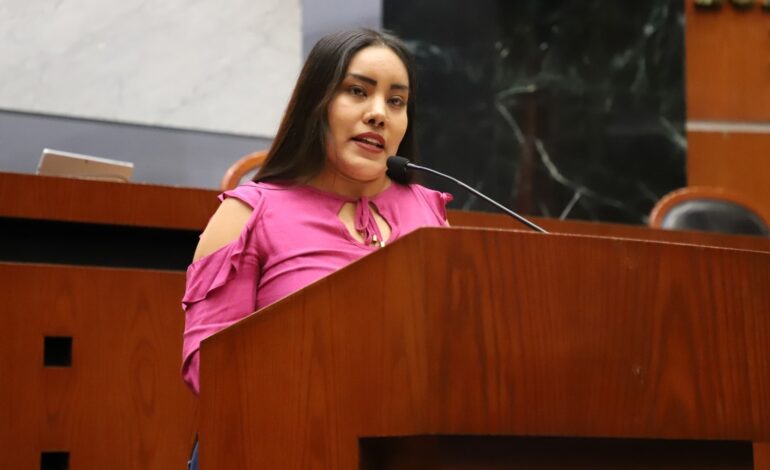 Propone diputada regularizar horarios y tarifas del transporte violeta