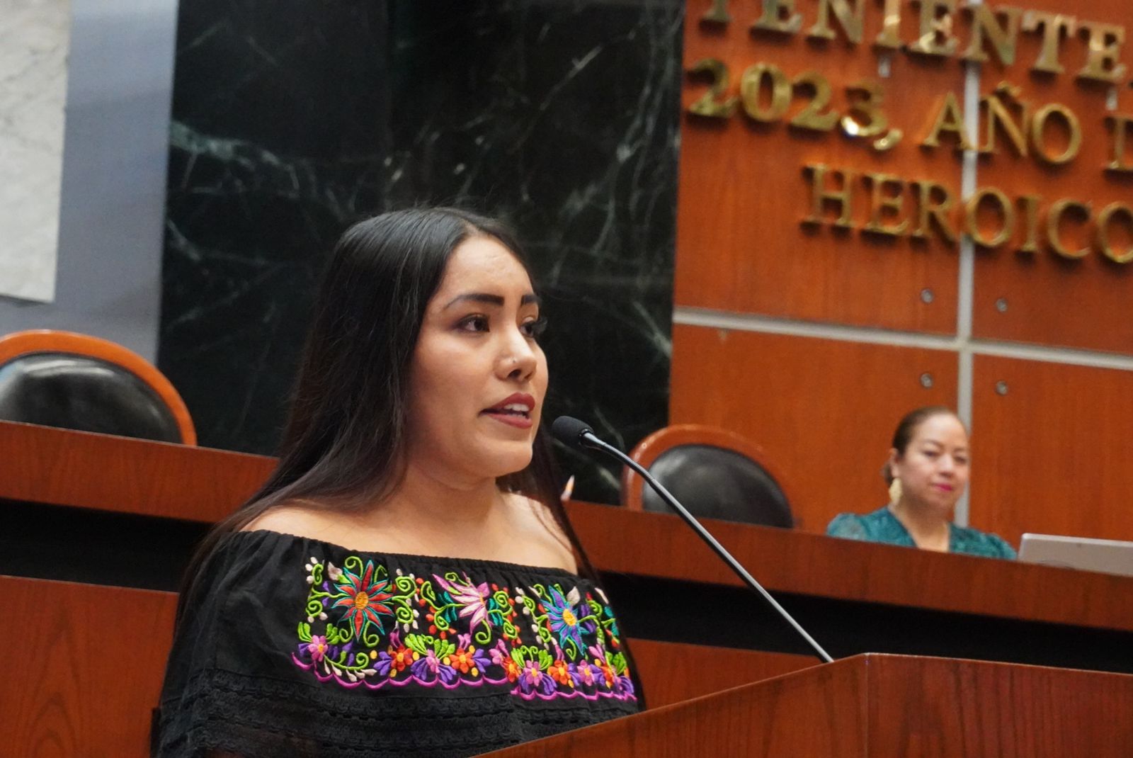 La diputada perredista Jennyfer García vota a favor de realizar el primer Parlamento de las Personas Adultas Mayores