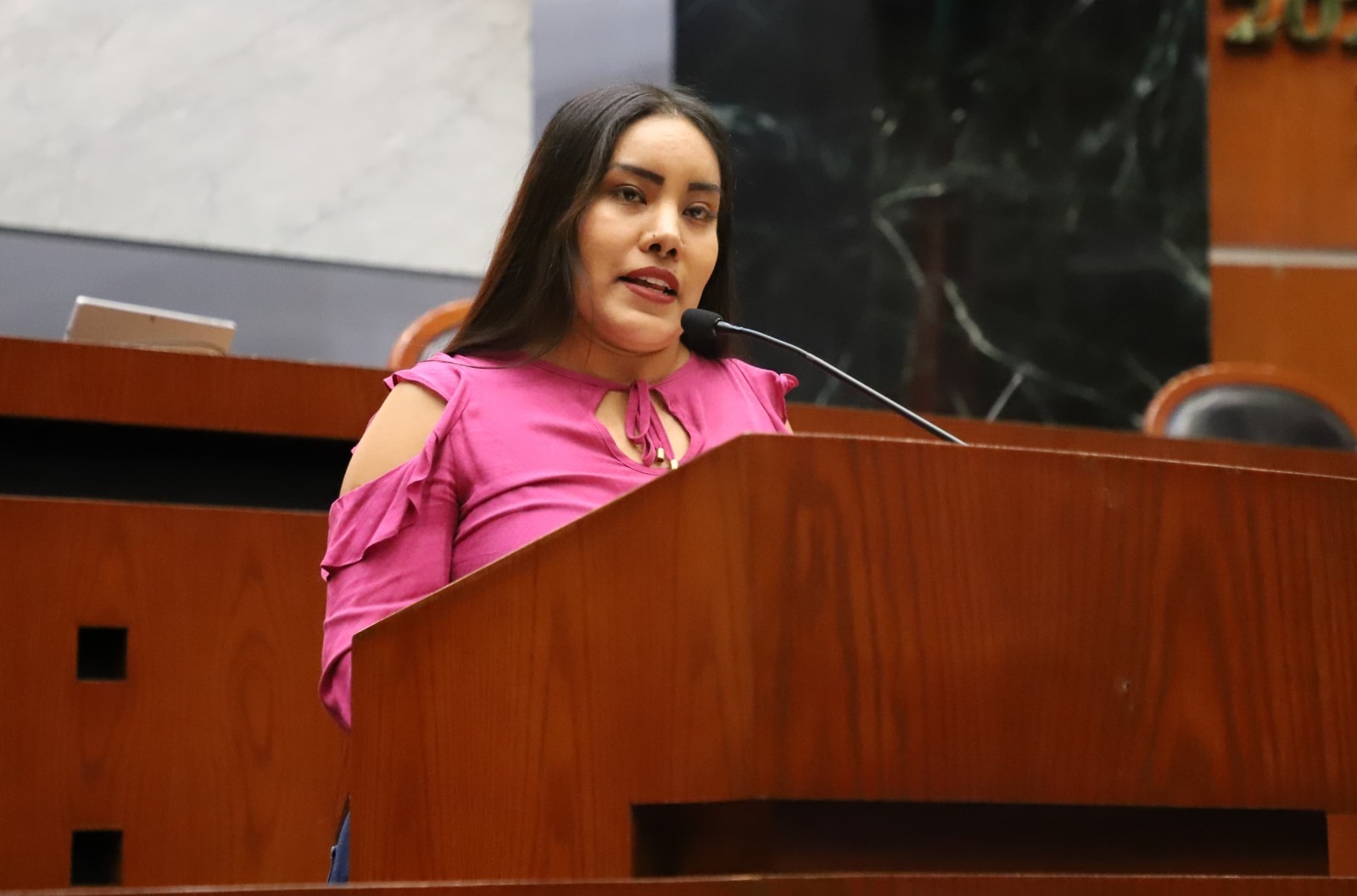Propone diputada regularizar horarios y tarifas del transporte violeta