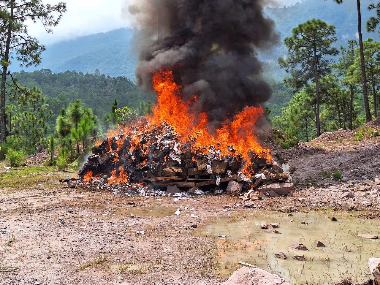 Incineran más de tres toneladas de narcóticos en Guerrero