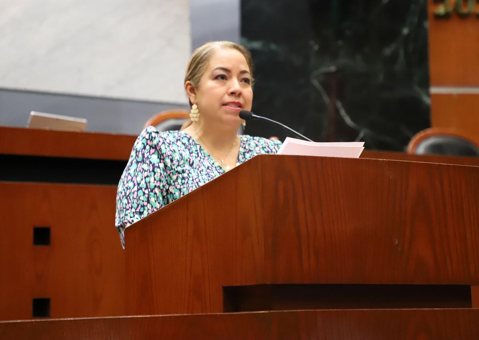 Plantean exhorto a la SEG para el rescate de las bibliotecas en Guerrero