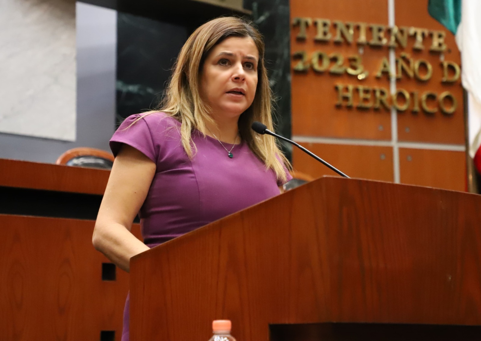 Plantean exhorto al Gobierno Federal para la atención de daños por la tormenta tropical Max
