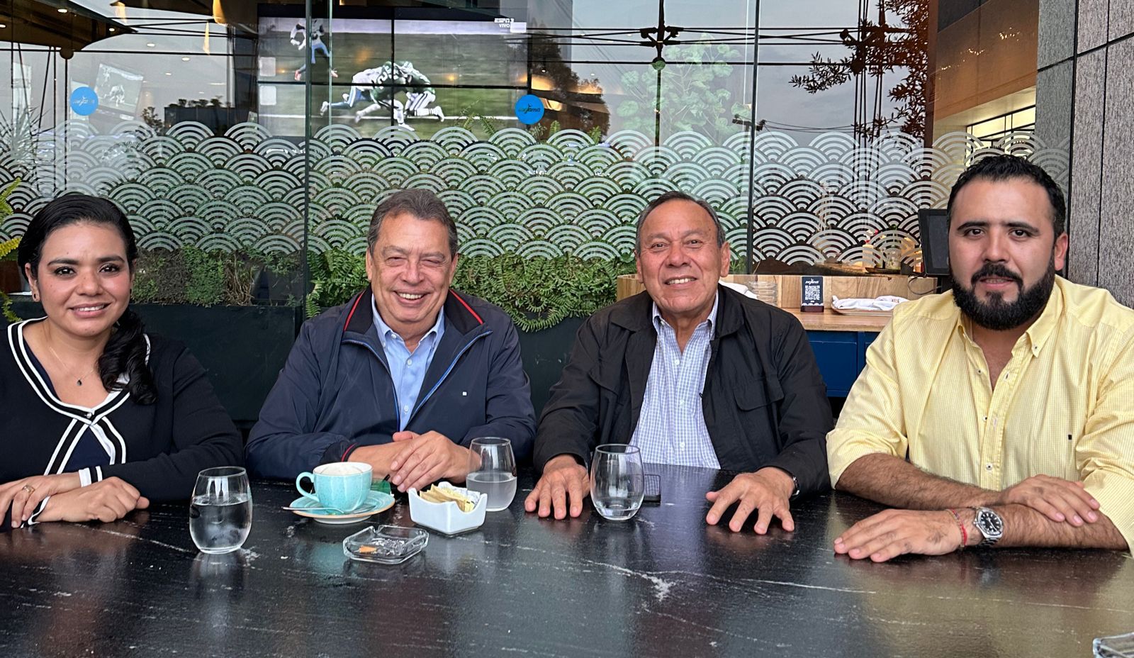 Proponen Ángel Aguirre e IPG a Yanelly Hernández Martínez para el Senado