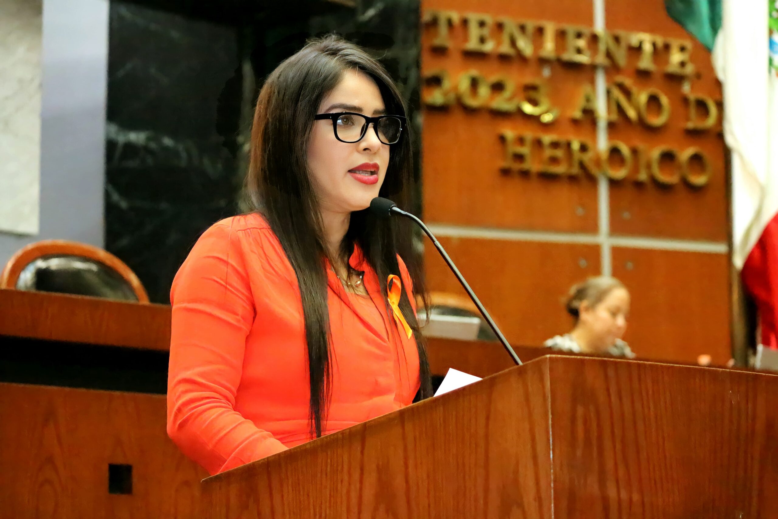 Llama Yoloczin Domínguez a desarrollar un plan emergente por la recuperación de Acapulco