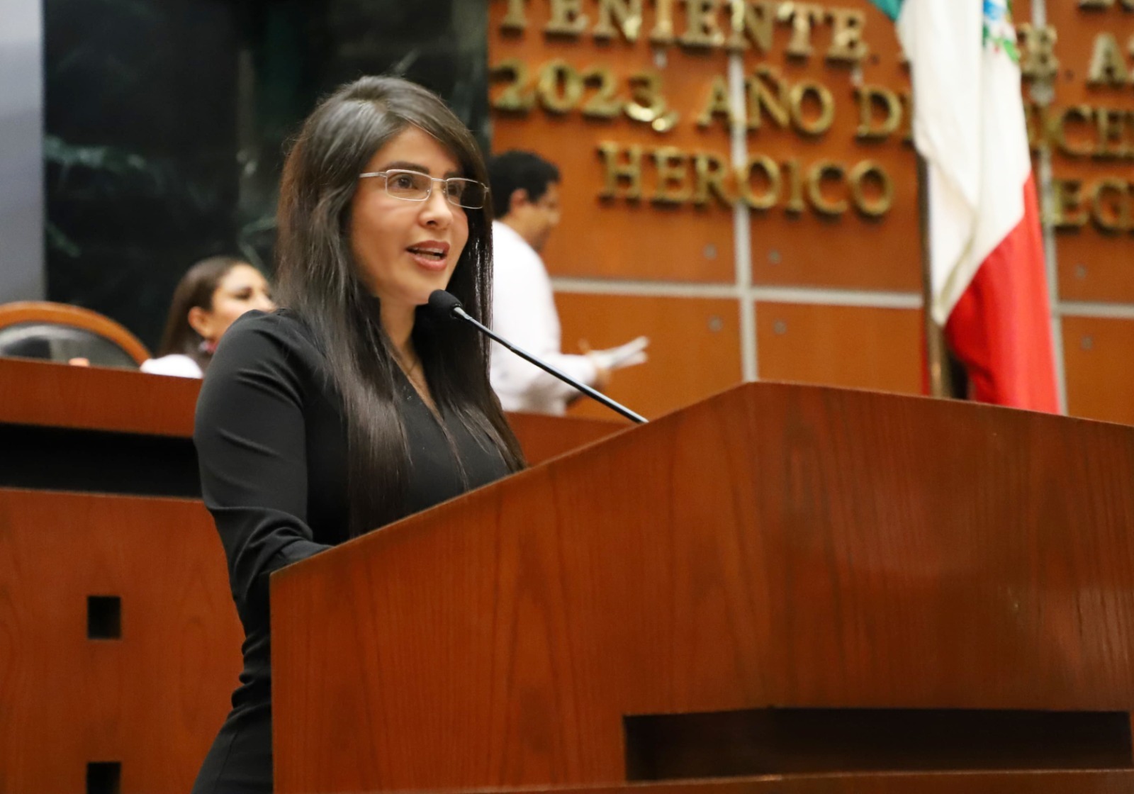 Se perfeccionará el marco legal con base en las propuestas de las personas adultas mayores: diputadas de Guerrero