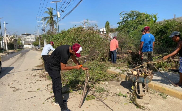 Se aplica Jacko Badillo a despejar caminos y liberar vialidades de Acapulco