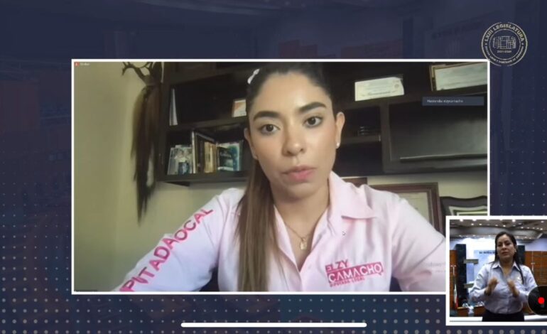 Proponen exhorto para incluir a 46 municipios en la Declaratoria de Desastre por estragos del huracán Otis