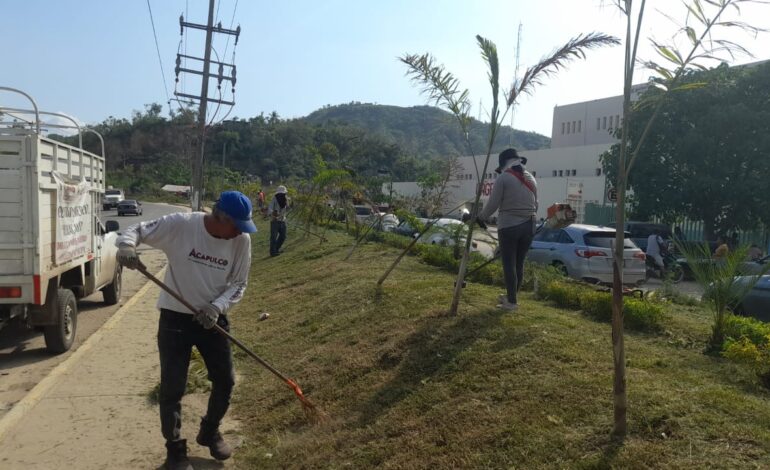 Inicia Gobierno de Abelina López Rodríguez trabajos de mantenimiento de áreas verdes en carretera Acapulco-México