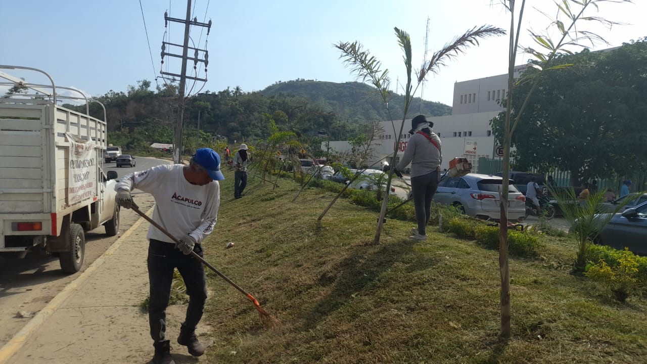 Inicia Gobierno de Abelina López Rodríguez trabajos de mantenimiento de áreas verdes en carretera Acapulco-México