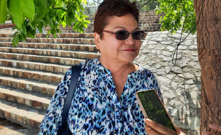 Gestiona Gobierno de Abelina López Rodríguez reconstrucción de arco techo y naves del Mercado Central