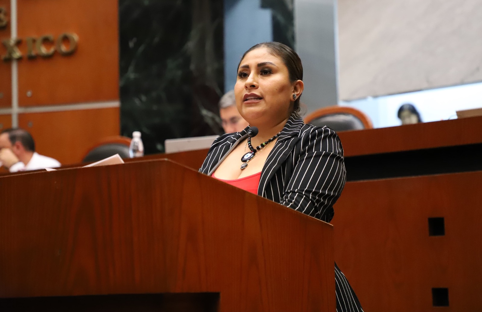 Proponen adición al Código Penal para Garantizar la «Dignidad Póstuma» de fallecidos