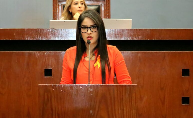 Precisa Yoloczin Domínguez que sus actividades son de apoyo en limpieza de vialidades en colonias