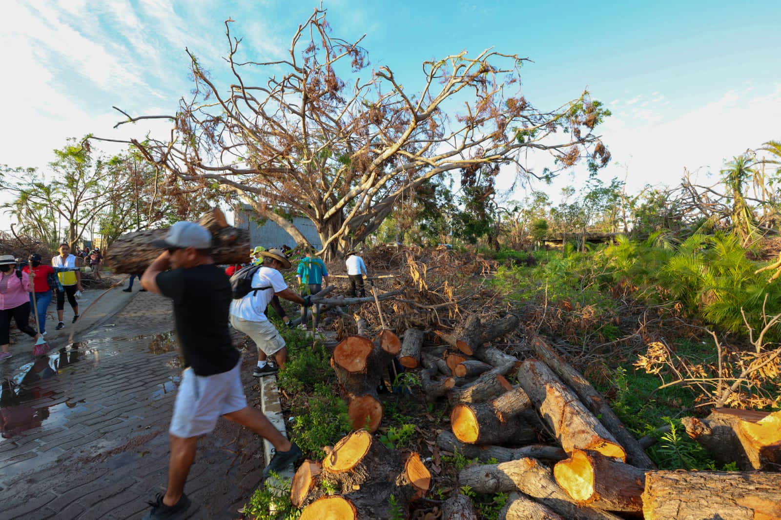 Cientos de familias, organizaciones y dirigentes sindicales apoyaron en las jornadas de limpieza del Parque Papagayo