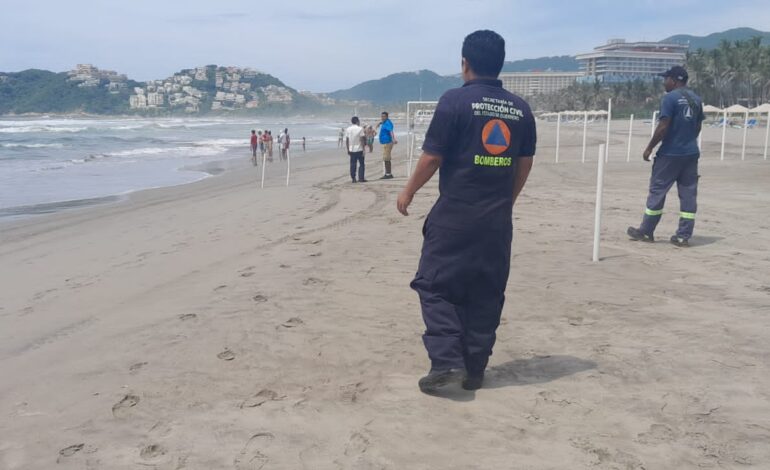 Secretaría de Gestión Integral de Riesgos y Protección Civil auxilia a víctimas por ataque de fauna marina