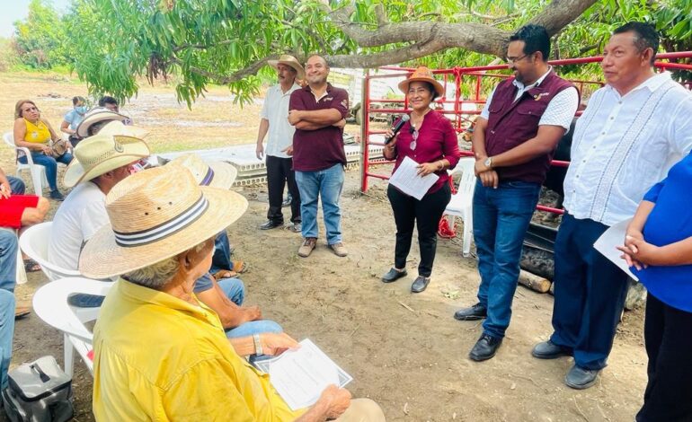 Entrega Abelina López Rodríguez apoyo histórico al sector ganadero