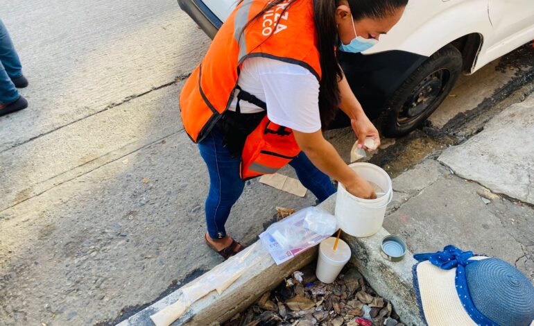 Refuerza Gobierno de Abelina López Rodríguez jornadas de abatización contra el mosco transmisor de enfermedades en Bella Vista