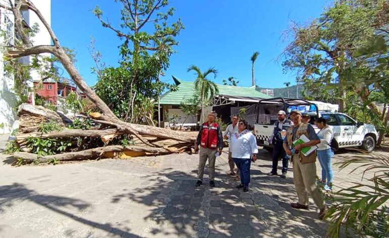 Evalúan daños en la Casa de la Cultura de Acapulco y la Casa de Los Vientos de Lola Olmedo