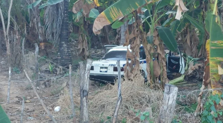 homicidio en san luis acatlan