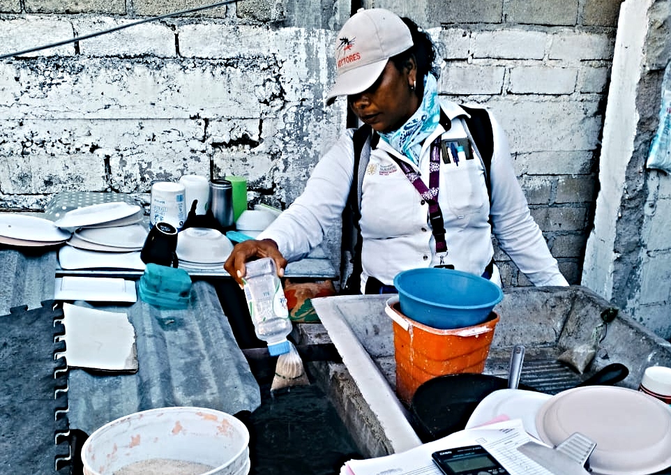 secretaria de salud - dengue (3)