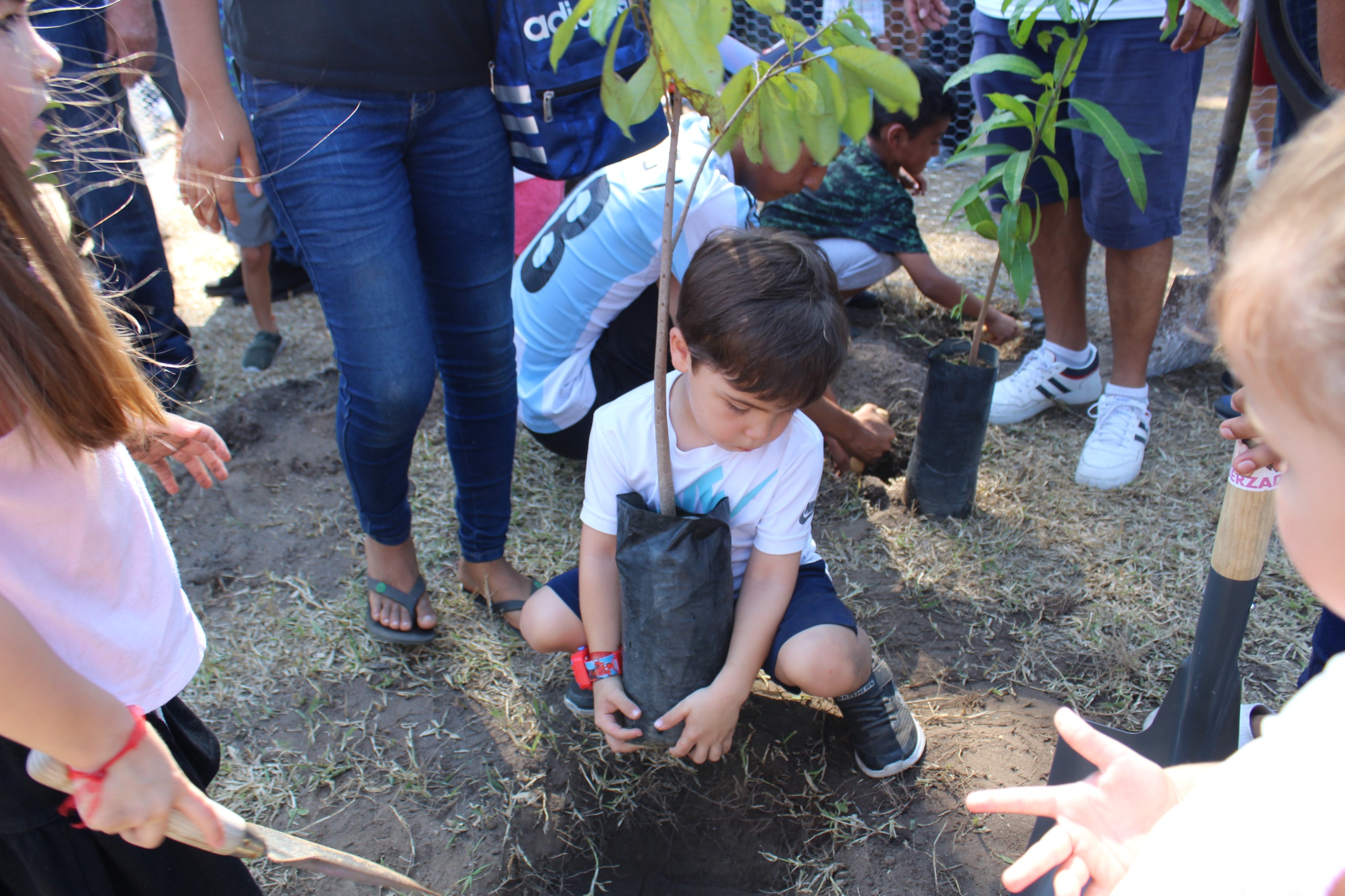Participa Gobierno de Acapulco en arborización del pulmón verde de Costa Azul