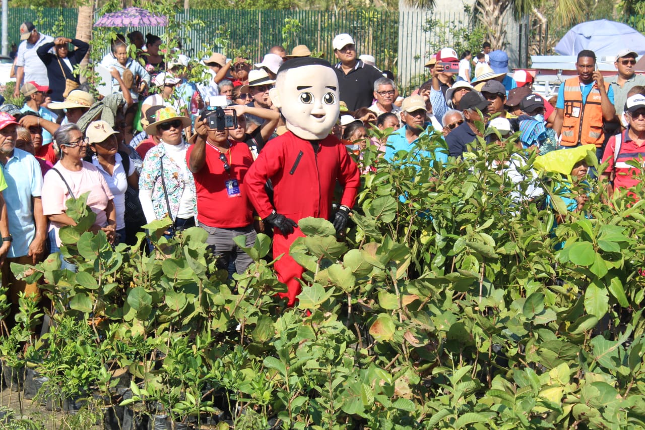 Impulsa Gobierno de Acapulco la campaña de arborización «Sembrando con Amor»