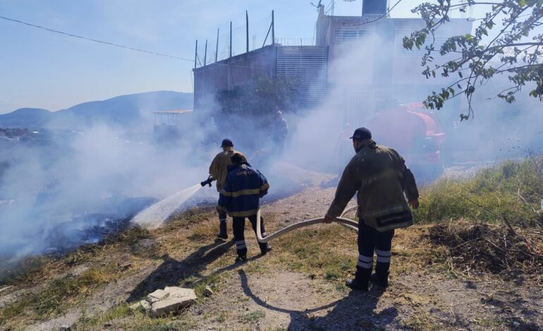 Gobierno de Guerrero trabaja para sofocar incendio forestal en Acapulco
