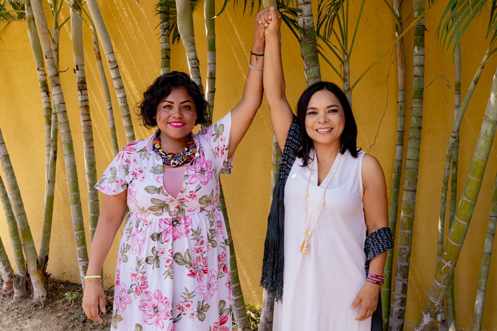 Destaca Beatriz Mojica su postulación al Senado como mujer afro