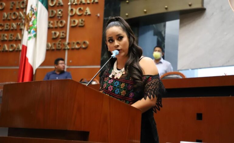 Investigación del caso Camila debe realizarse con rigurosidad, transparencia y objetividad: Citlali Calixto
