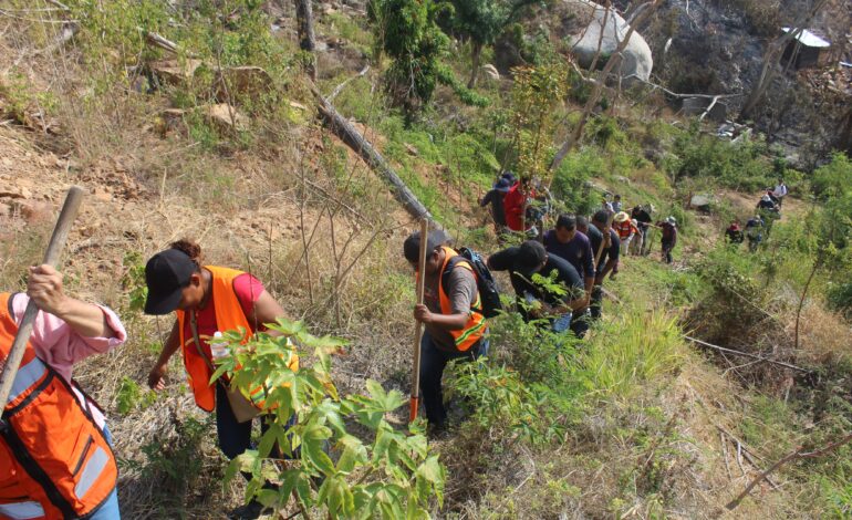 Controlan bomberos de Acapulco, Ejército, CONAFOR y Protección Civil, incendio en Parque Nacional El Veladero